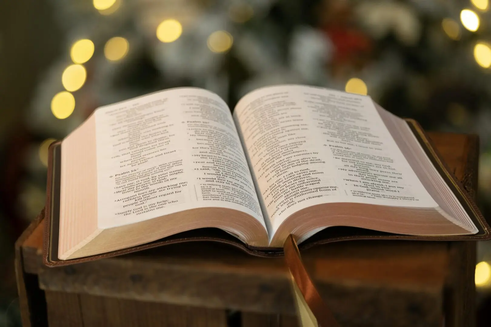 6809040a22219_Bible (ea9edc36-41ef-4615-8719-c658361ae7e5) Reform Ministry