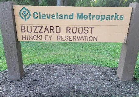 A sign that is in the grass near some dirt.